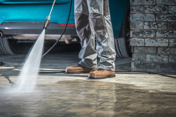 Best Sidewalk and Walkway Cleaning  in Cannon Af, NM