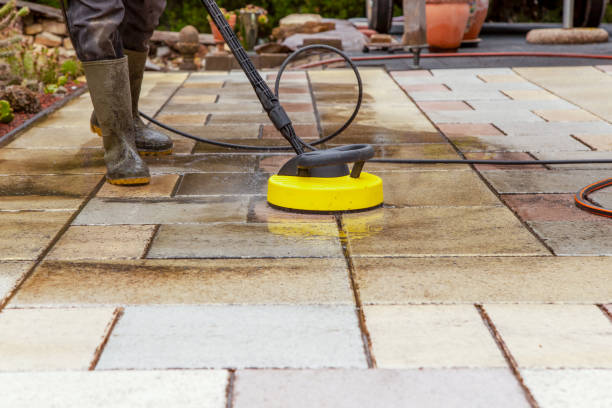 Animal Enclosure Cleaning in Cannon Af, NM